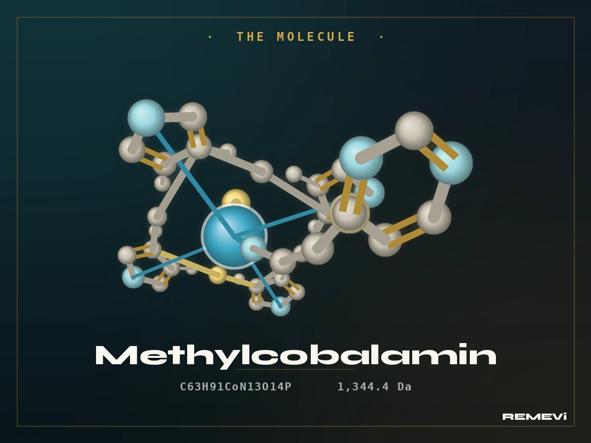 Diagram of the methylcobalamin (vitamin B12) molecule and its cobalt atom