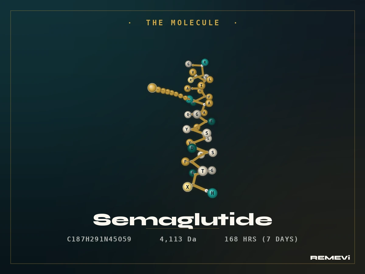 Schematic of the semaglutide alpha-helix bound to the GLP-1 receptor