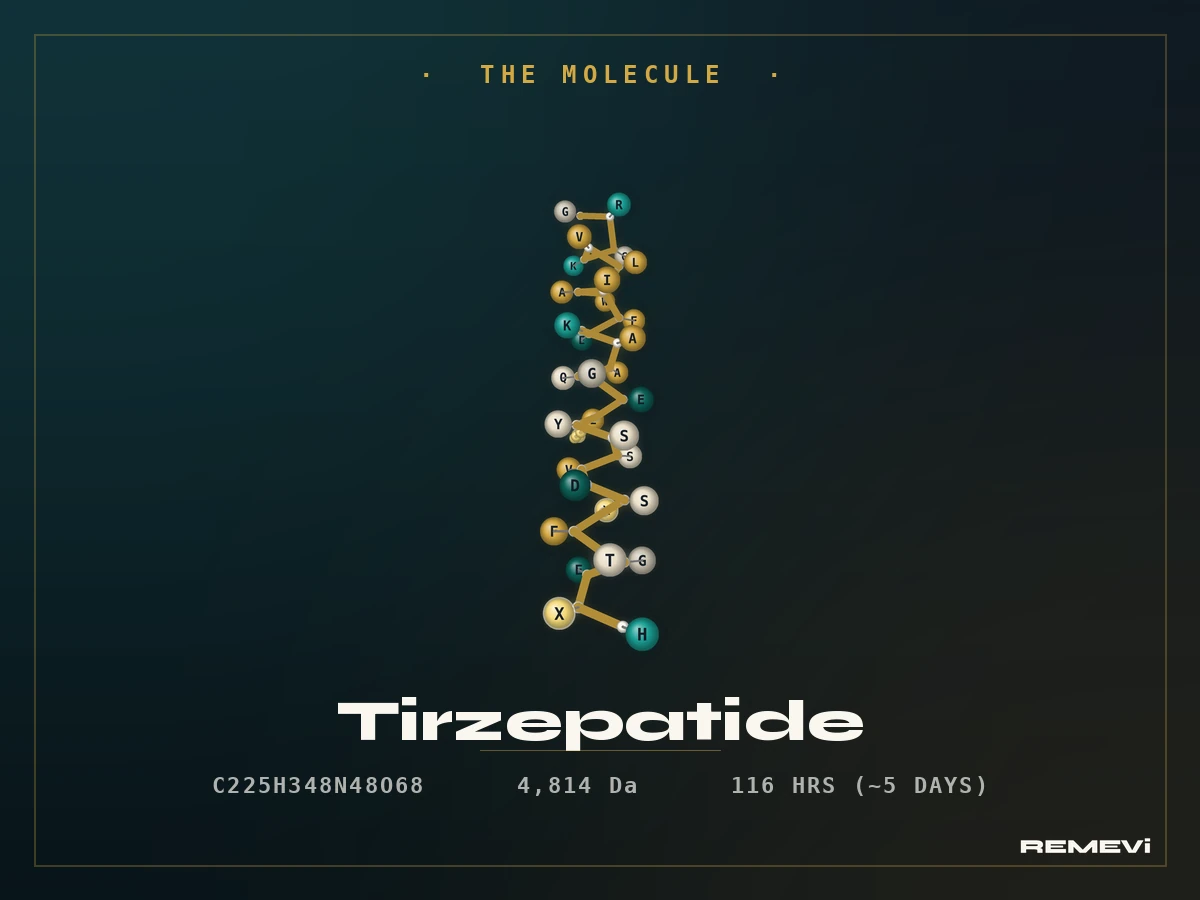 Diagram of how tirzepatide works as a dual GIP and GLP-1 receptor agonist